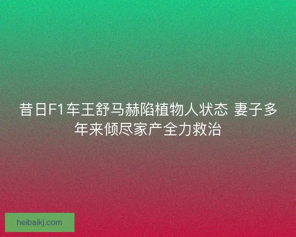 昔日F1车王舒马赫陷植物人状态 妻子多年来倾尽家产全力救治 昔日F1车王舒马赫陷植物人状态 妻子多年来倾尽家产全力救治