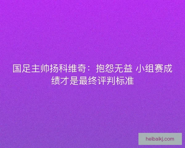国足主帅扬科维奇:抱怨无益 小组赛成绩才是最终评判标准 国足主帅扬科维奇:抱怨无益 小组赛成绩才是最终评判标准
